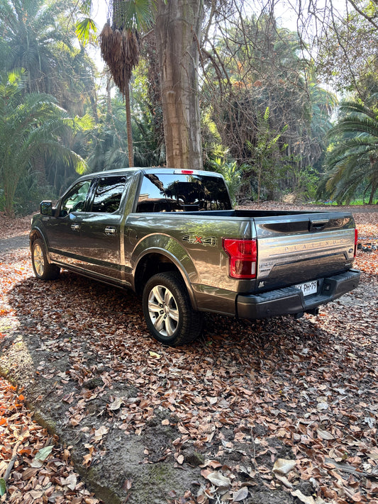 FORD F-150 PLATINUM 2019