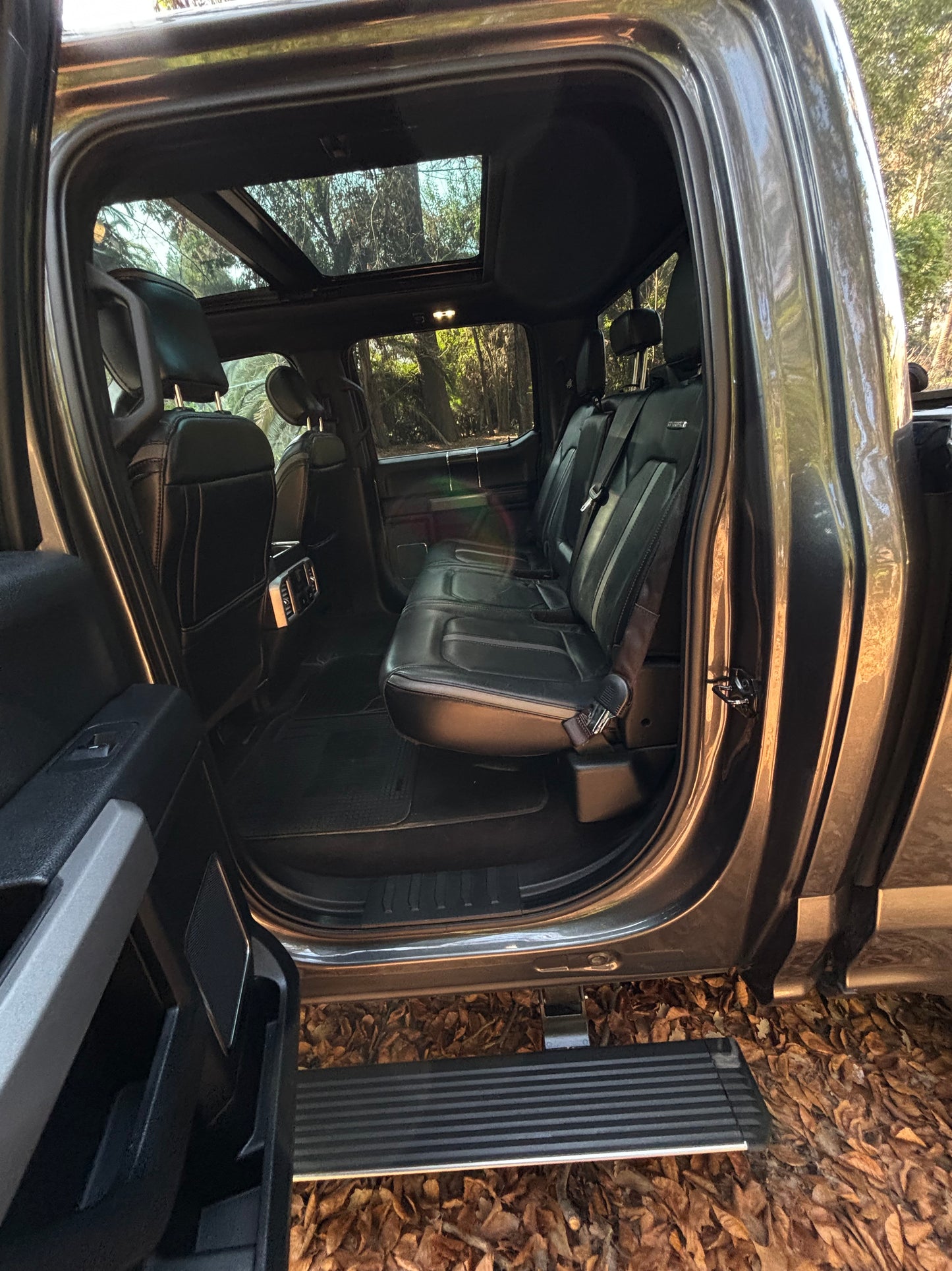 FORD F-150 PLATINUM 2019