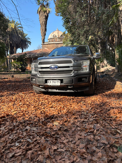 FORD F-150 PLATINUM 2019