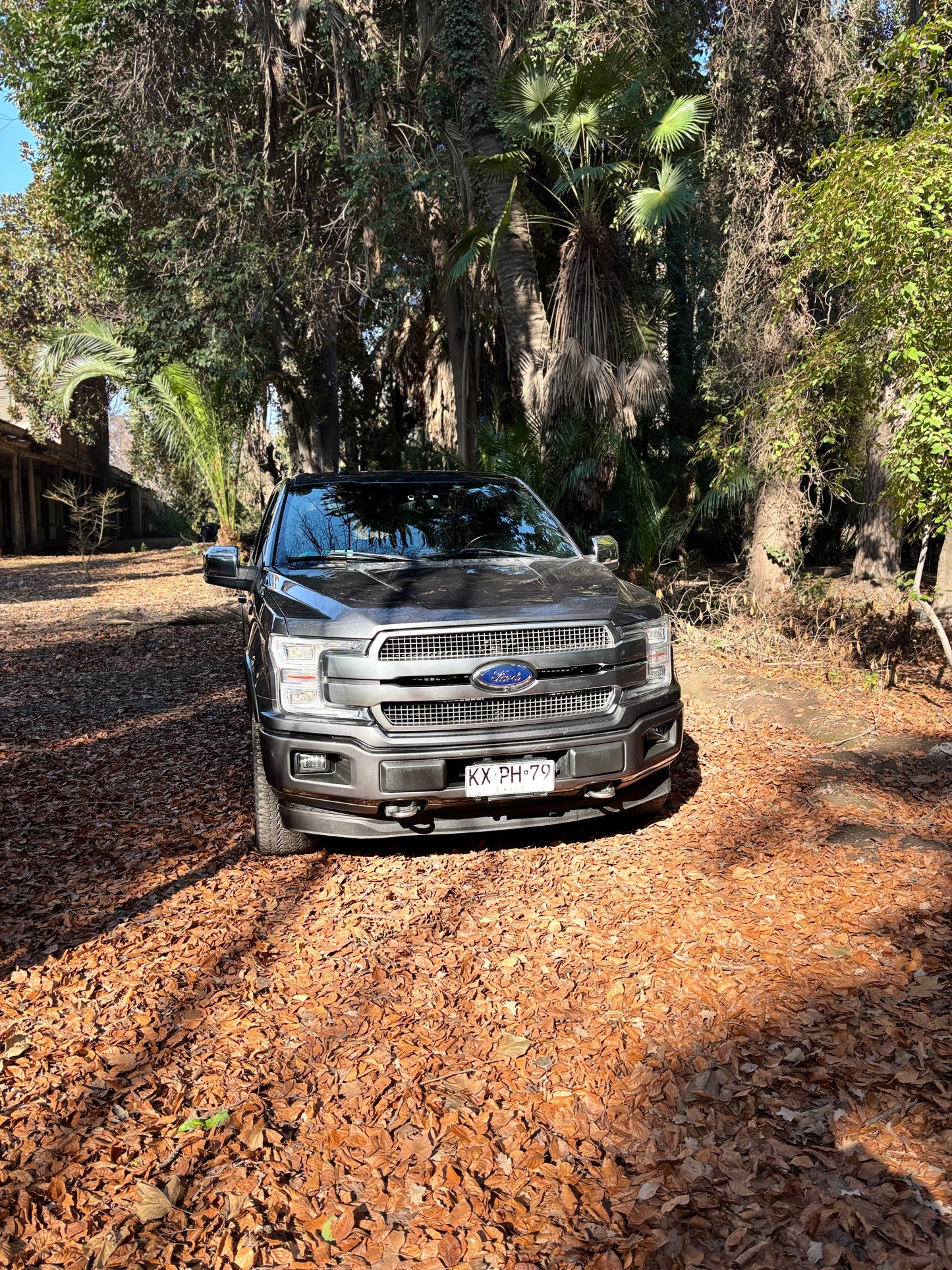 FORD F-150 PLATINUM 2019