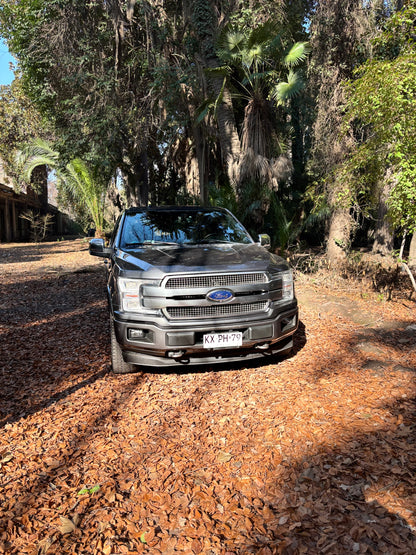 FORD F-150 PLATINUM 2019