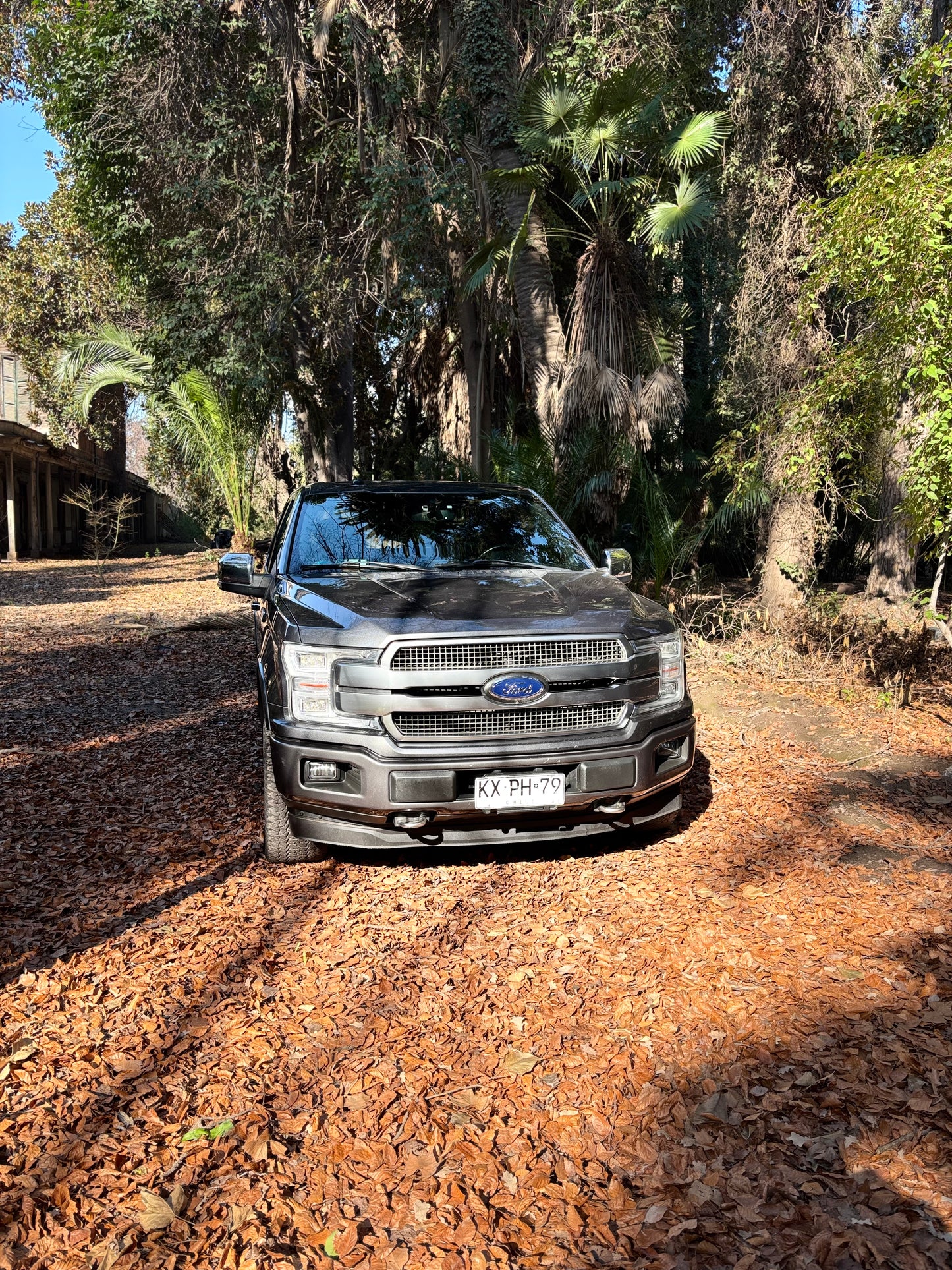 FORD F-150 PLATINUM 2019
