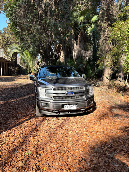 FORD F-150 PLATINUM 2019