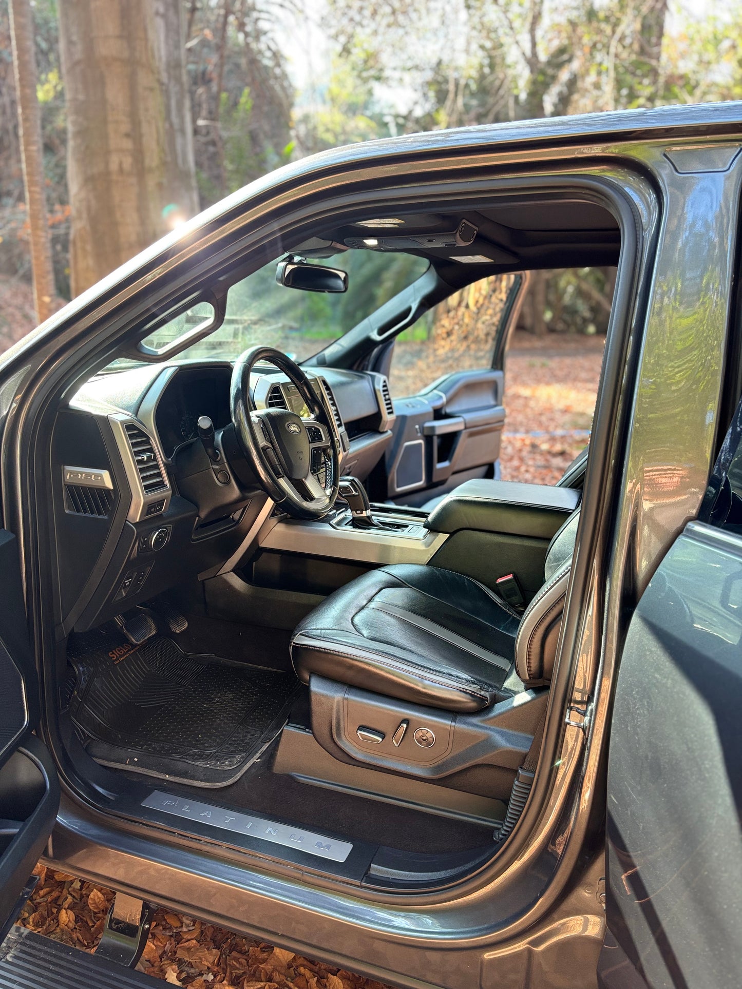 FORD F-150 PLATINUM 2019