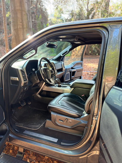 FORD F-150 PLATINUM 2019