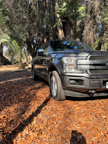 FORD F-150 PLATINUM 2019