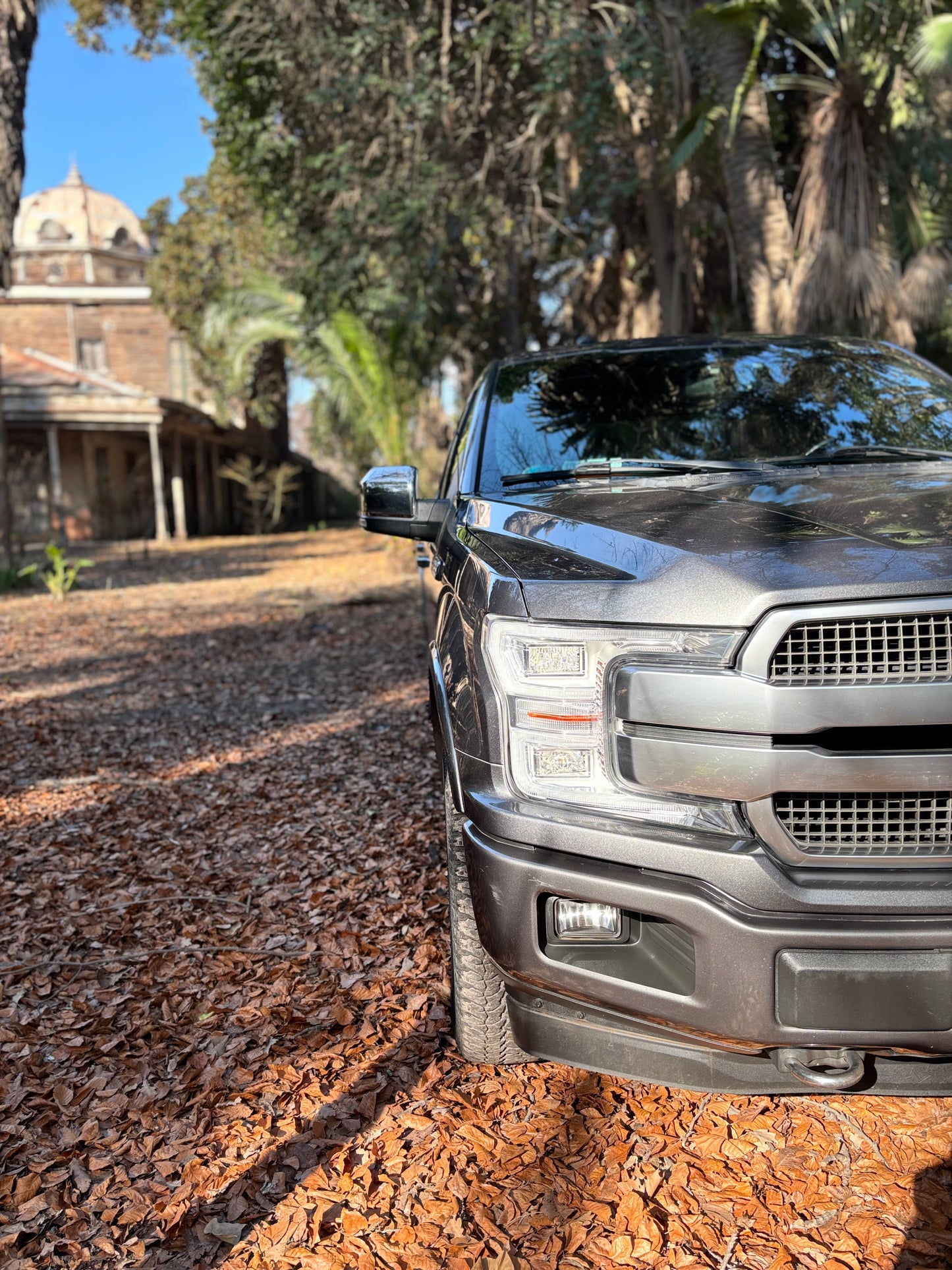 FORD F-150 PLATINUM 2019