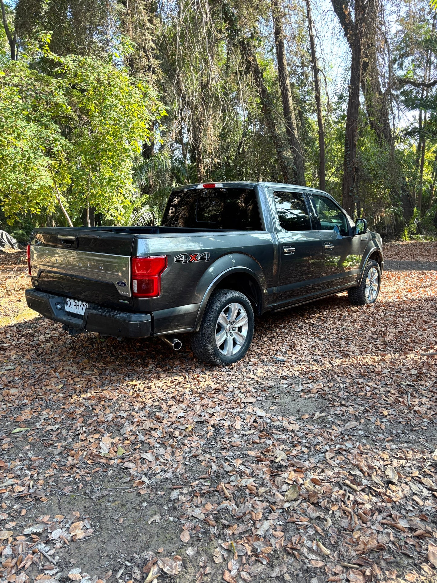 FORD F-150 PLATINUM 2019