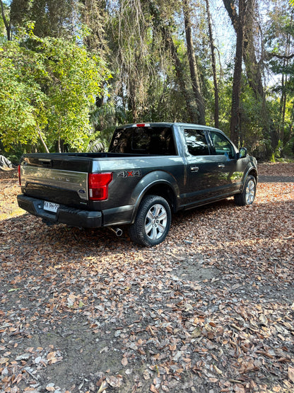 FORD F-150 PLATINUM 2019