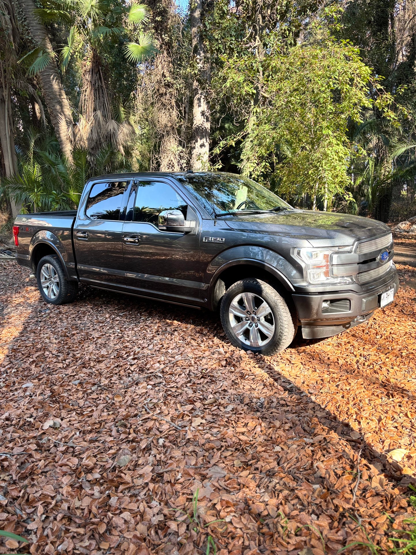 FORD F-150 PLATINUM 2019