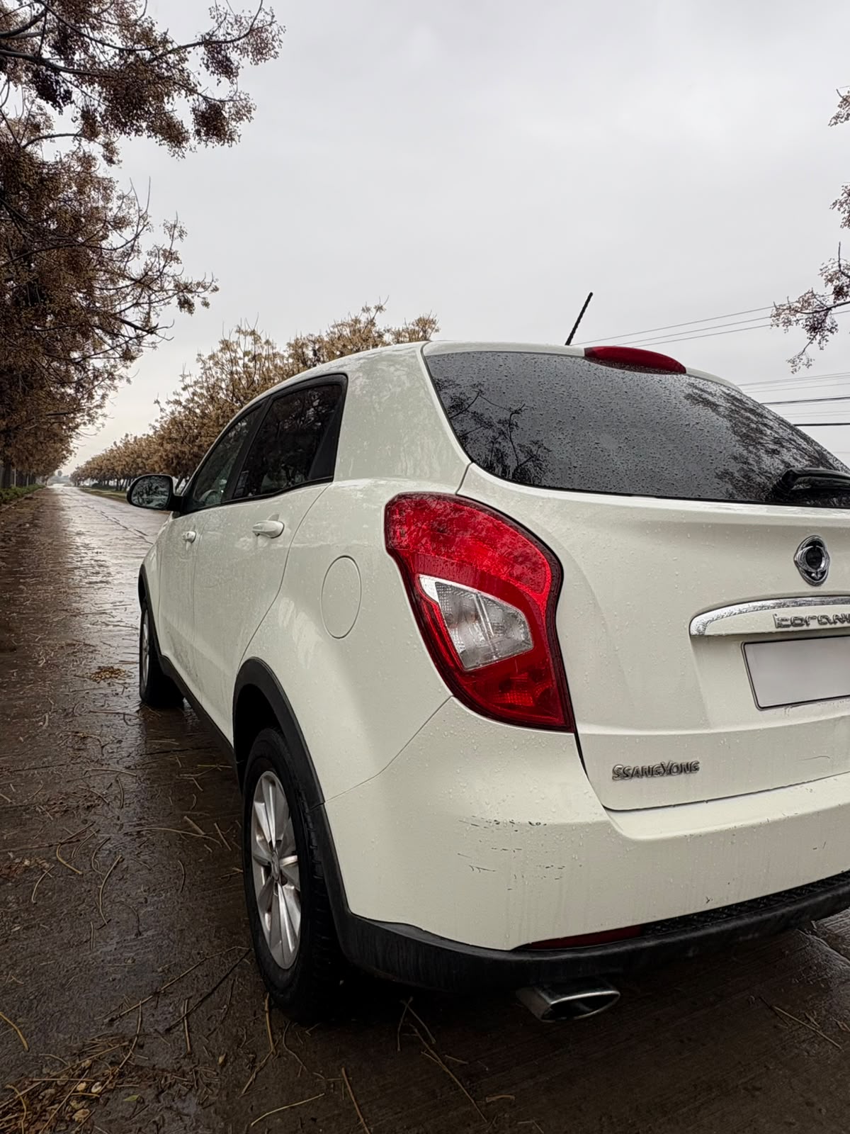 Ssangyong Korando
