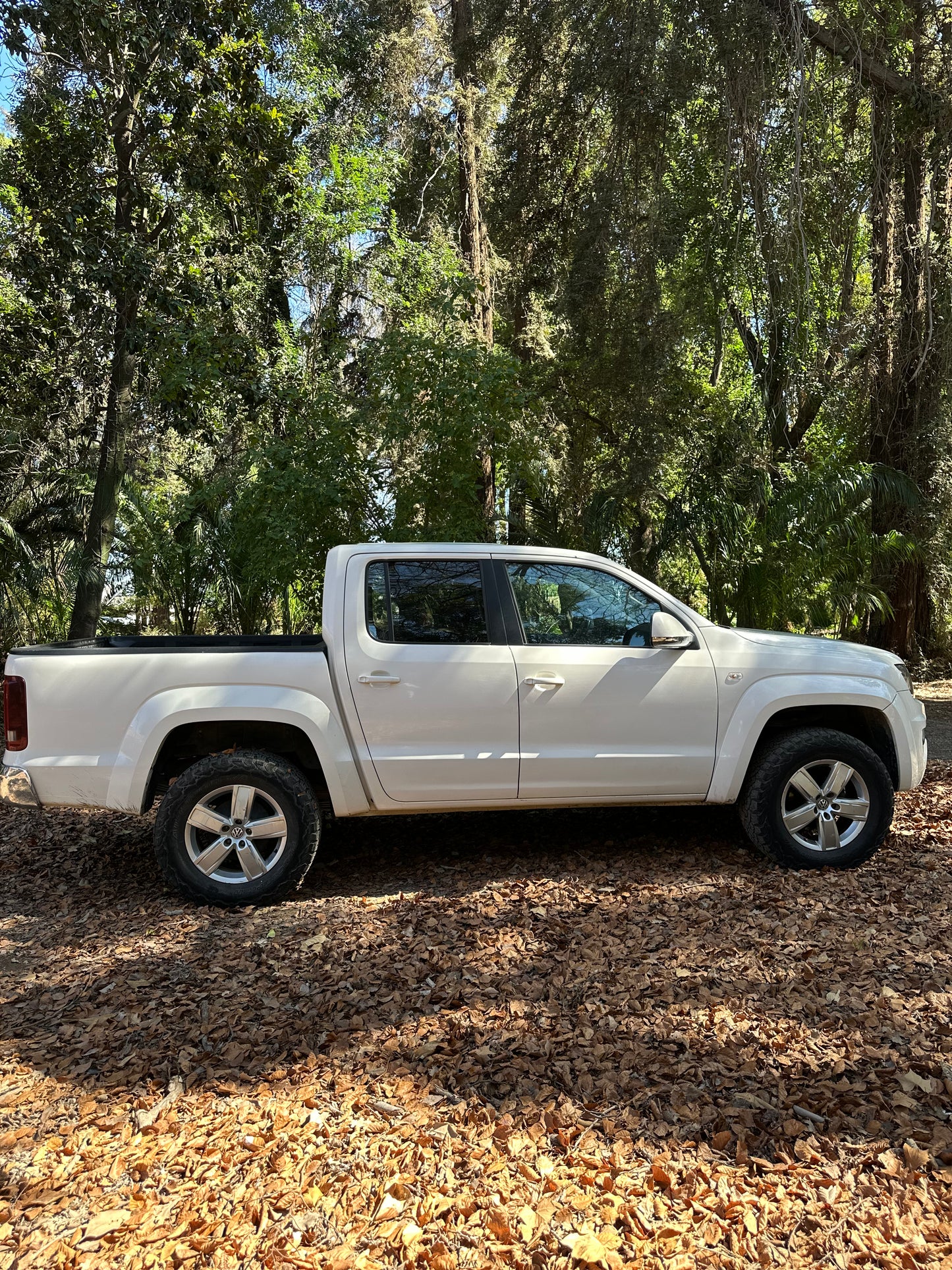 Volkswagen Amarok 2019